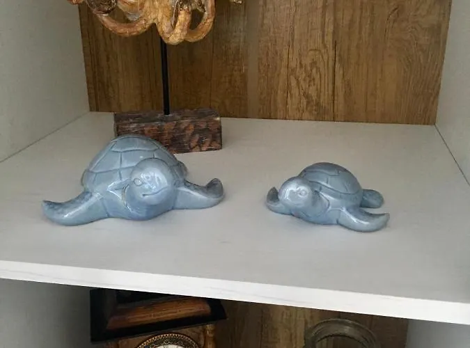 Panoramis 417 Pe Plaja Cu Frontala La Mare Navodari