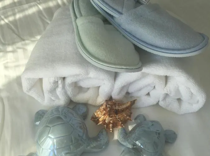 Panoramis 417 Pe Plaja Cu Frontala La Mare *