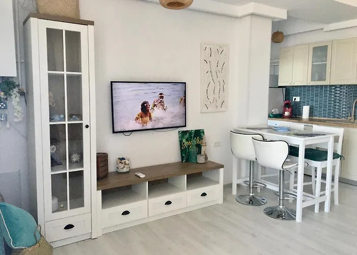 Panoramis 417 Pe Plaja Cu Frontala La Mare Navodari