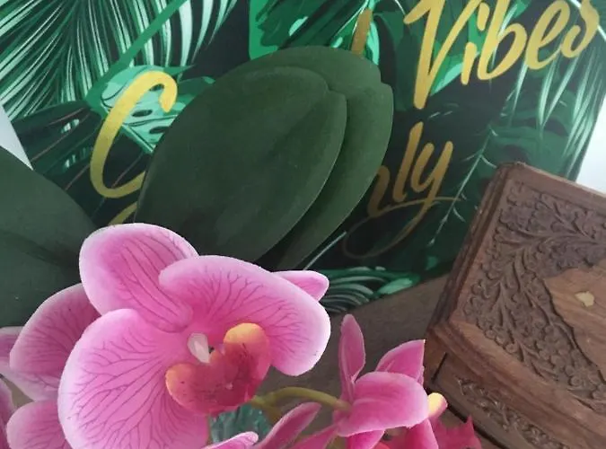 Panoramis 417 Pe Plaja Cu Frontala La Mare Năvodari